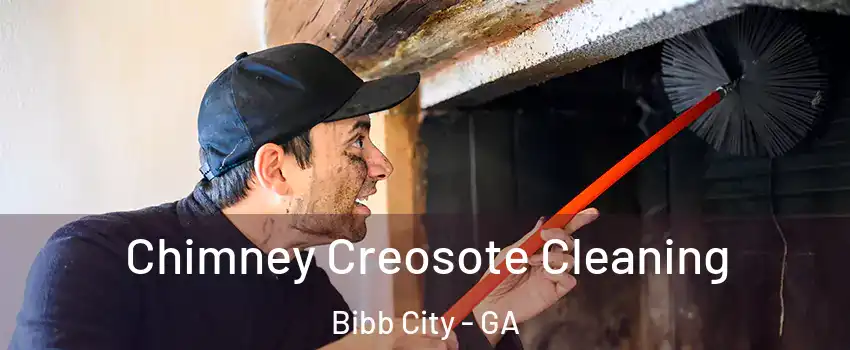 Chimney Creosote Cleaning Bibb City - GA