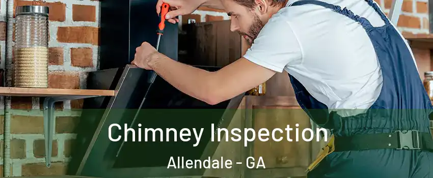 Chimney Inspection Allendale - GA