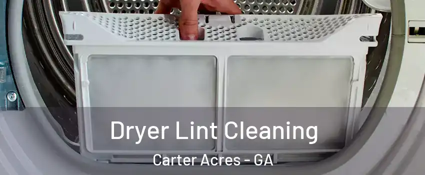 Dryer Lint Cleaning Carter Acres - GA