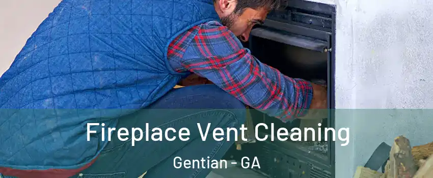 Fireplace Vent Cleaning Gentian - GA