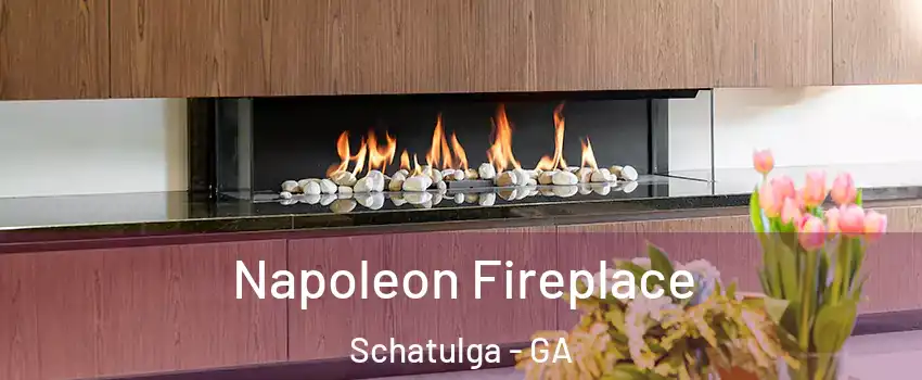 Napoleon Fireplace Schatulga - GA